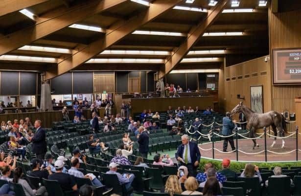 Keeneland sets world record $531 million in yearling sales