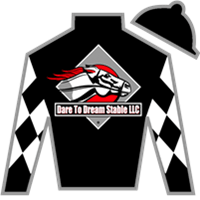 Silk for Knick The Quick