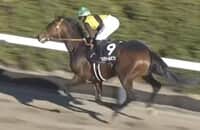 Kentucky Derby trail: Pharoah colt is favored in Japan prep