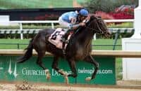 Share in Not This Time is on offer at Keeneland championship sale