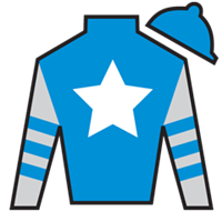 Silk for On Time Girl