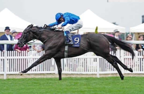 Rebel’s Romance returns to U.S. for Joe Hirsch Turf Classic