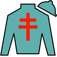 Silk for Rude Procedure