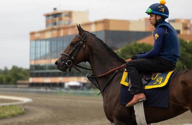 Cotillion odds, analysis: Top choices might not be best bets