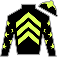 Silk for Seismic Beauty