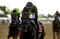 Zipse: Seismic Beauty shows star power for Breeders’ Cup