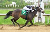 9-for-9 filly Silent Rule sprints Thursday at Thistledown