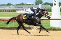 10-for-10 Silent Rule is out of training, might be retired