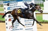 Undefeated Watch: 15 horses have 15 perfect stories