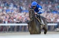 Breeders' Cup Classic watch: Sovereignty towers over Travers