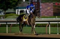 Breeders' Cup Classic watch: 3-year-olds or older horses?