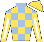 Silk for Strategic Risk