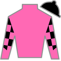 Silk for Teddy's Rocket