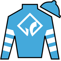 Silk for Twilight Delight