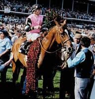 Affirmed: The Last Crown Winner